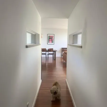 فيلة Do Val Seixas - Piscina Privada