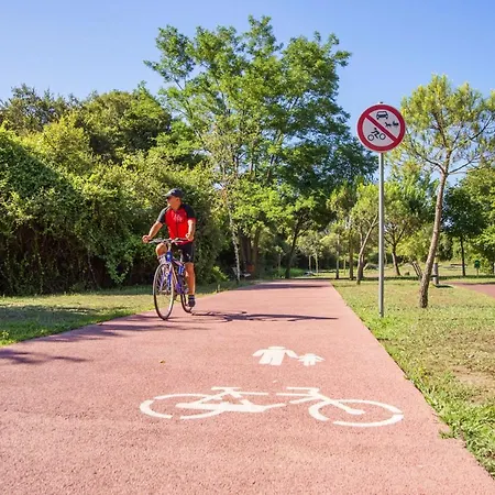 Villa Do Val Seixas - Piscina Privada *