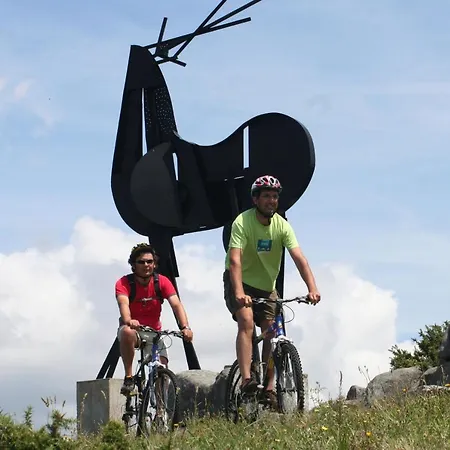 Villa Do Val Seixas - Piscina Privada