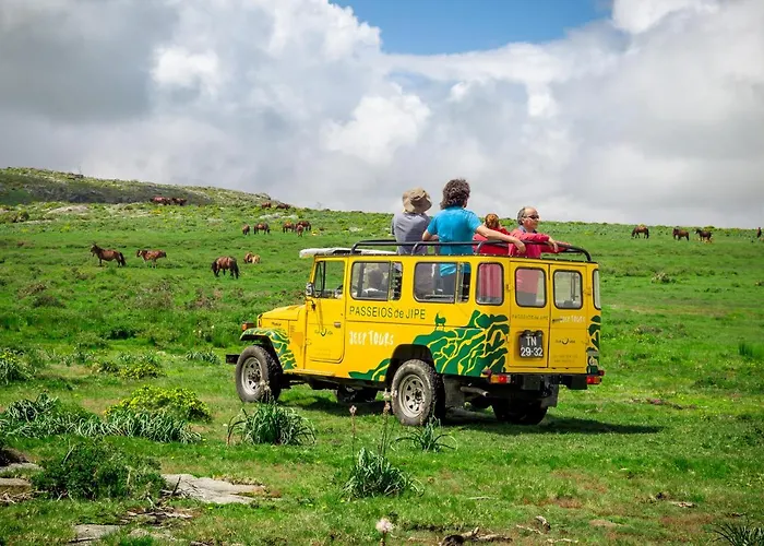 Do Val Seixas - Piscina Privada