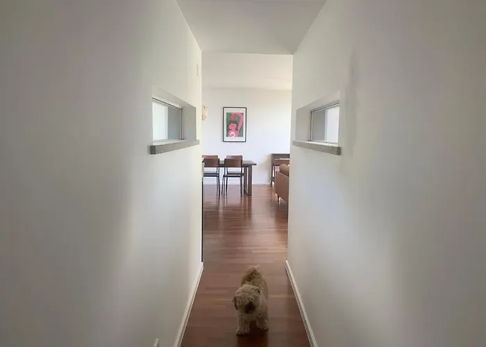 Villa Do Val Seixas - Piscina Privada