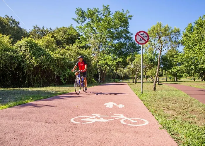 Villa Do Val Seixas - Piscina Privada *